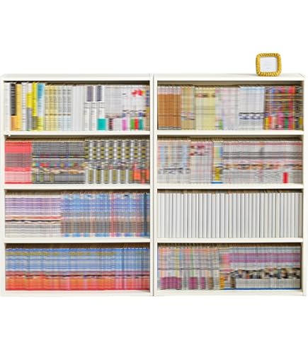 Amazon.co.jp: ノーブランド品 2段式コミックスタンドホワイト